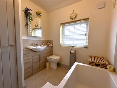 Picture 16
